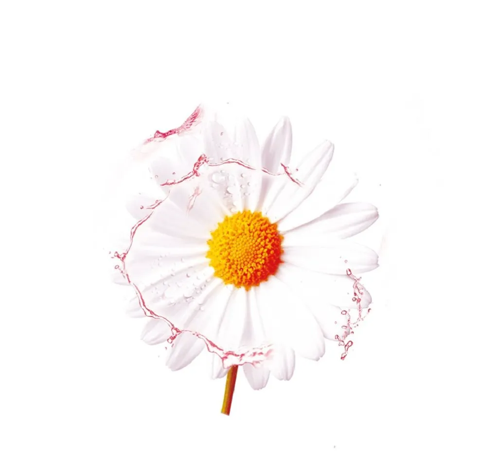 L977509-3 - copia.webp